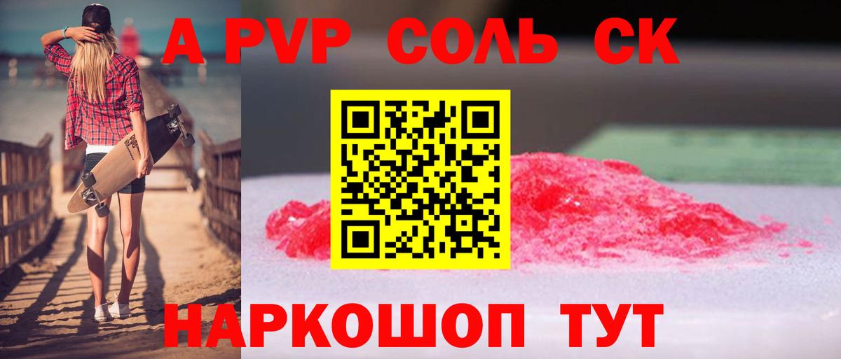 Alfa_PVP СК Великий Новгород