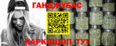 Альфа ПВП Малгобек