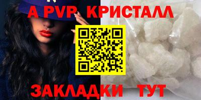 Альфа ПВП Малгобек