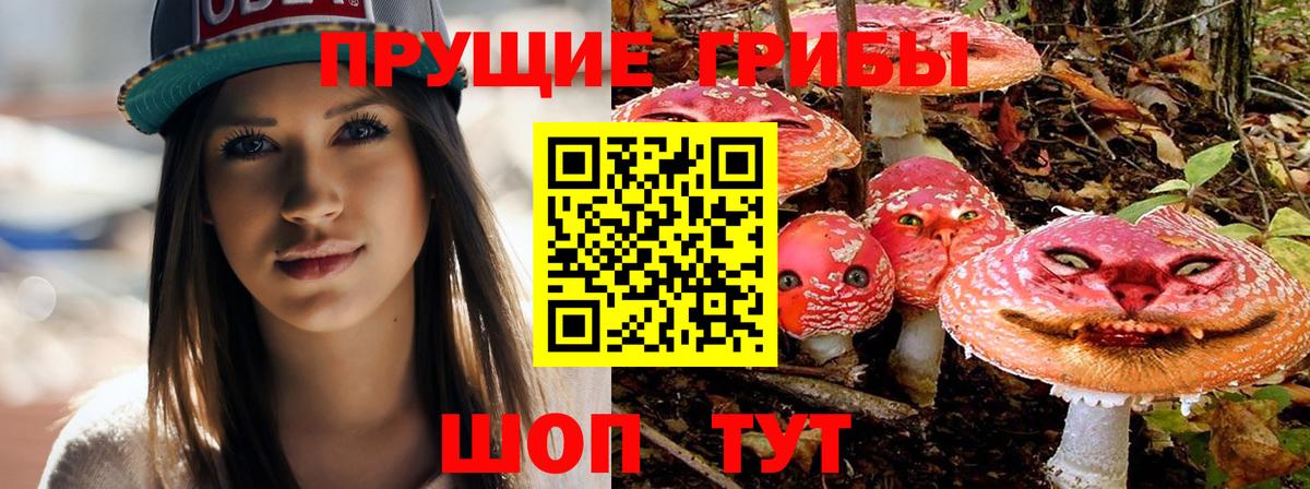 Псилоцибиновые грибы MAGIC MUSHROOMS  Вход с VPN  Великий Новгород  Галлюциногенные грибы Magic Shrooms 