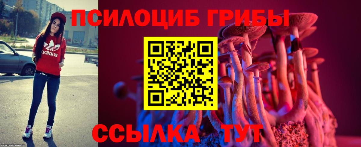 Галлюциногенные грибы прущие грибы Великий Новгород